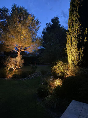 Réalisation - Allée et jardin - St Rémy de provence